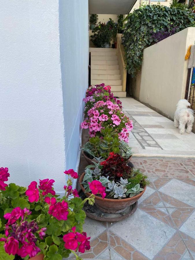 Apartments Vucinovic Tivat Exterior photo